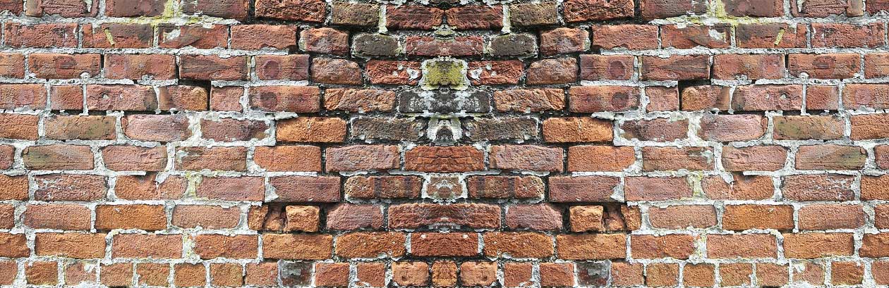 Dandruff Brick2